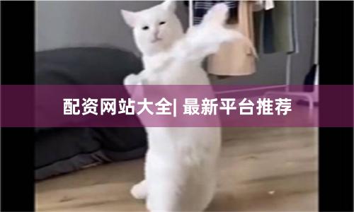 配资网站大全| 最新平台推荐